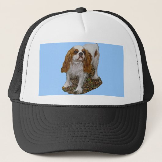 Cavalier King Charles Trucker Pet (Voorkant)