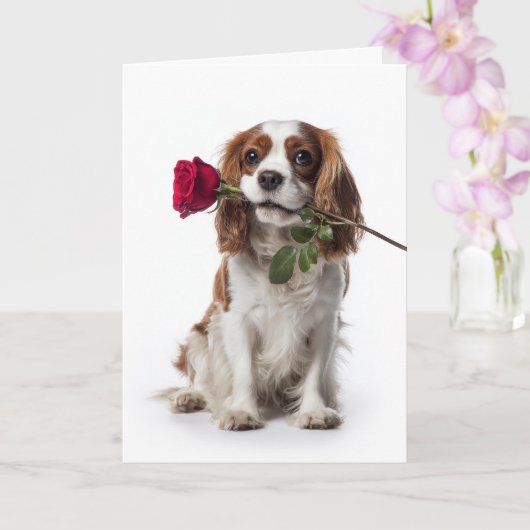 Cavalier King Charles Valentine – Tender Love Kaart (Orchidee)