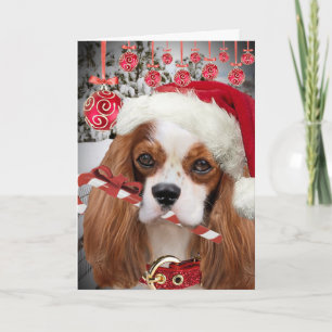 Cavalier King Charles Vrolijke Kerst Kaarten