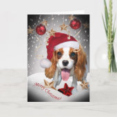 Cavalier King Charles Winter Christmas Kaarten (Voorkant)