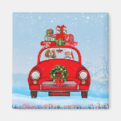 Cavalier King Dog in auto met kerstman Magneet (Voorkant)