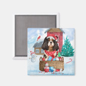 Cavalier King Dog in het sneeuwkersthondenhuis Magneet (Voorkant / Achterkant)
