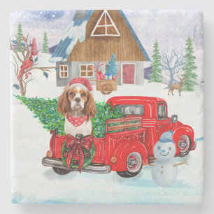 Cavalier King Dog in kerstcadeauwagen Stenen Onderzetter