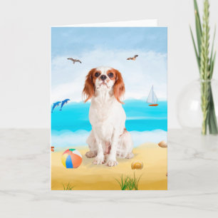 Cavalier King Dog op strand  Kaart