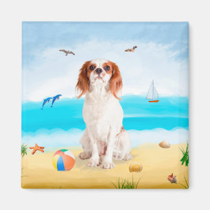 Cavalier King Dog op strand Magneet