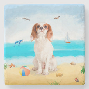 Cavalier King Dog op strand Stenen Onderzetter