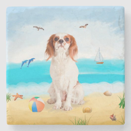 Cavalier King Dog op strand Stenen Onderzetter (Voorkant)