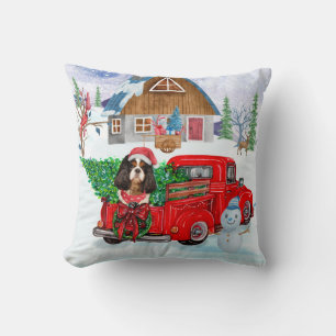 Cavalier King Hond In Kerst Bezorgwagen Sneeuw Kussen