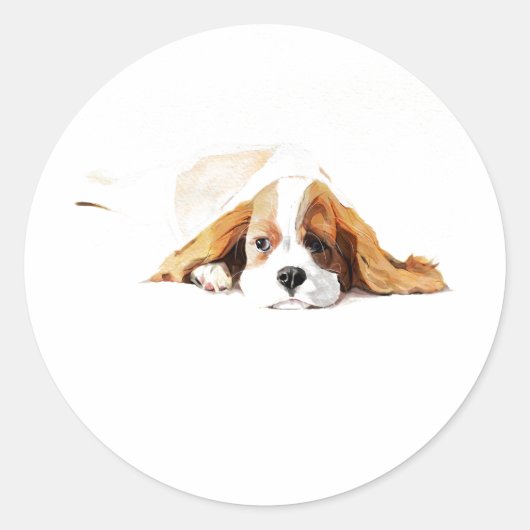 Cavalier King Hond Sticker, Cadeautje Ronde Sticker (Voorkant)