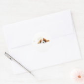 Cavalier King Hond Sticker, Cadeautje Ronde Sticker (Envelop)