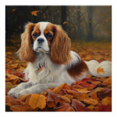 Cavalier King in de herfst laat Herfst inspireren Perfect Poster (Voorkant)