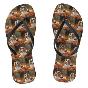 Cavalier King in de herfst laat Herfst inspireren Teenslippers