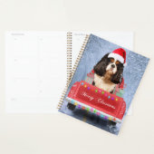 Cavalier King in Snow, zittend in kersttruck Planner (Display)
