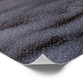 Cavalier King Sneeuwslee Kerstdecoratie Poster (Hoek)