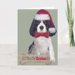 Cavalier Koning Charles kust voor Kerstmis Feestdagen Kaart
