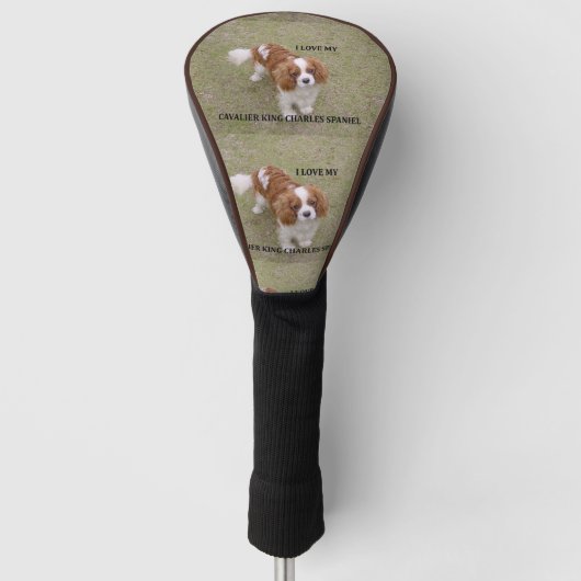 Cavalier-koning-charles-spaniel blenheim houdt van golfheadcover (Voorkant)