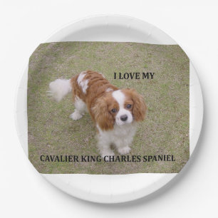Cavalier-koning-charles-spaniel blenheim houdt van papieren bordje