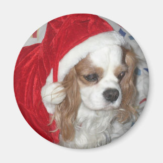 CAVALIER KONING CHARLES SPANIEL HOND MET KERSTMUTS MAGNEET