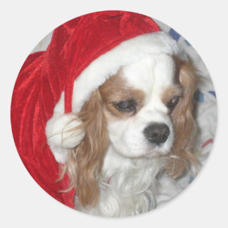 CAVALIER KONING CHARLES SPANIEL HOND MET KERSTMUTS RONDE STICKER