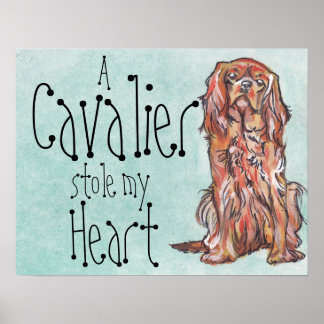 cavalier koning charles spaniel poster