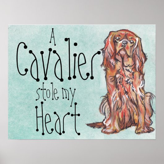 cavalier koning charles spaniel poster (Voorkant)