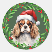 Cavalier Koning Spaniel Kerstmis Hond Mailing