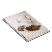 Cavalier met buik notitieboek (Rechterzijde)