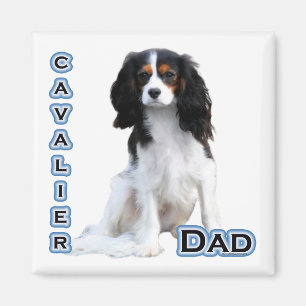 Cavalier Pap 4 - Magneet
