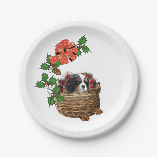 Cavalier Party Bord (Voorkant)