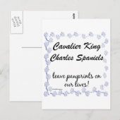 Cavalier Pawprints Briefkaart (Voorkant / Achterkant)