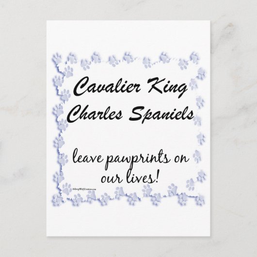 Cavalier Pawprints Briefkaart (Voorkant)