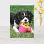 Cavalier Pup Kaart (Gele Bloem)