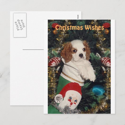Cavalier puppy in kerst kous feestdagenkaart (Voorkant / Achterkant)