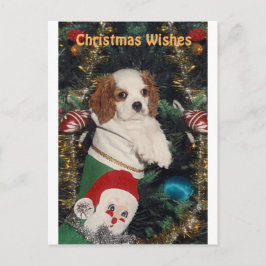 Cavalier puppy in kerst kous feestdagenkaart
