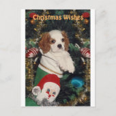 Cavalier puppy in kerst kous feestdagenkaart (Voorkant)