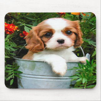 Cavalier Puppy Mousepad Muismat