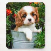 Cavalier Puppy Mousepad Muismat (Voorkant)