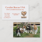 Cavalier Rescue honden buiten Visitekaartje (Voorkant / Achterkant)