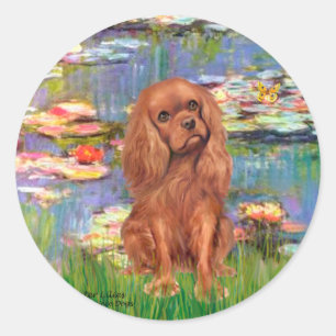 Cavalier (Ruby7) - Waterlelies 2 Ronde Sticker