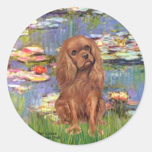 Cavalier (Ruby7) - Waterlelies 2 Ronde Sticker (Voorkant)