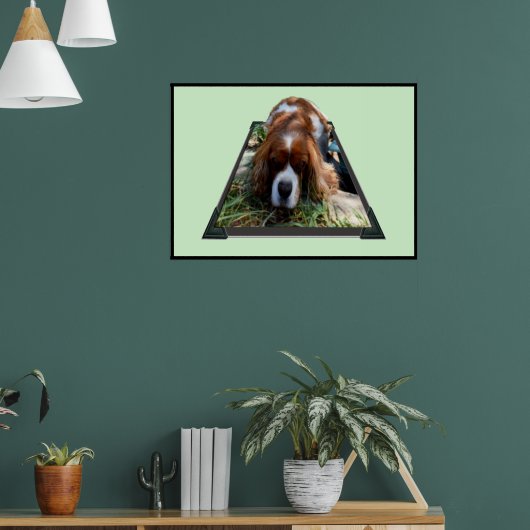 Cavalier Sooky Face Spaniel, Poster (Woonkamer 1)