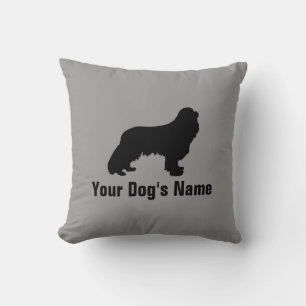 Cavalier Spaniel キ. ・ キ ン koning der アャ,naam van d Kussen