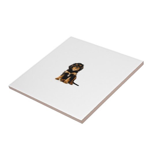 Cavalier Spaniel Black & Tan Tile Tegeltje (Zijkant)