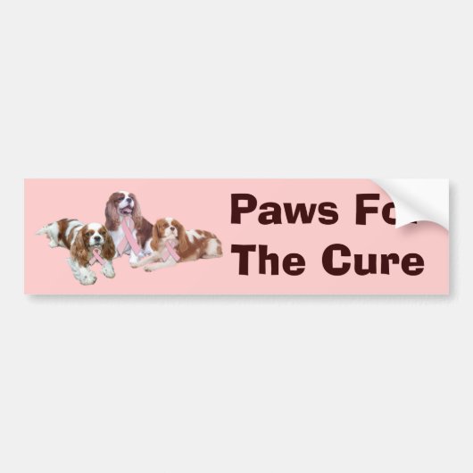 Cavalier Spaniel Breast Cancer Bumpersticker (Voorkant)