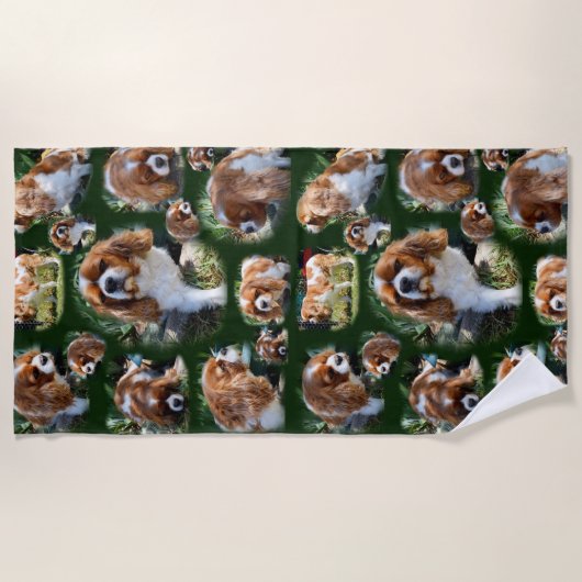 Cavalier Spaniel Collarge, Strandlaken (Voorkant)