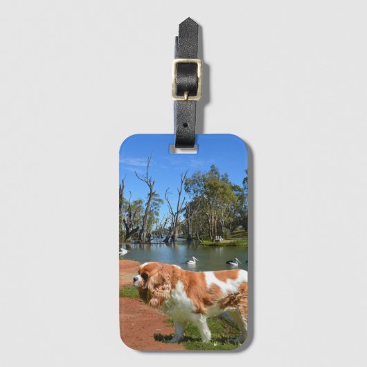 Cavalier Spaniel en Pelicans Bagagelabel (Voorkant (verticaal))