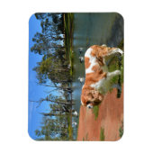 Cavalier Spaniel en Pelicans Magneet (Verticaal)