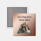 Cavalier Spaniel Popout Art, Fridge Magnet (Voorkant / Achterkant)