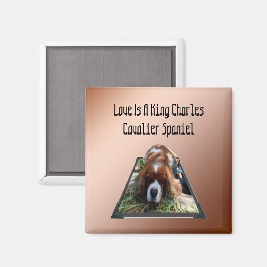 Cavalier Spaniel Popout Art, Fridge Magnet (Voorkant / Achterkant)