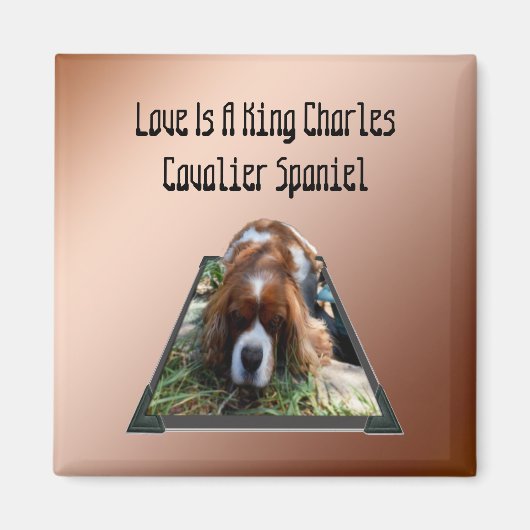 Cavalier Spaniel Popout Art, Fridge Magnet (Voorkant)